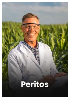 Peritos (4)